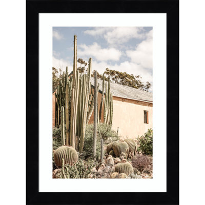 Karoo Garden 02 by Shot by Clint Wood Framed Wall Art Print