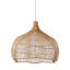 Luminaire suspendu à 1 lumière Braegyn-1376102030