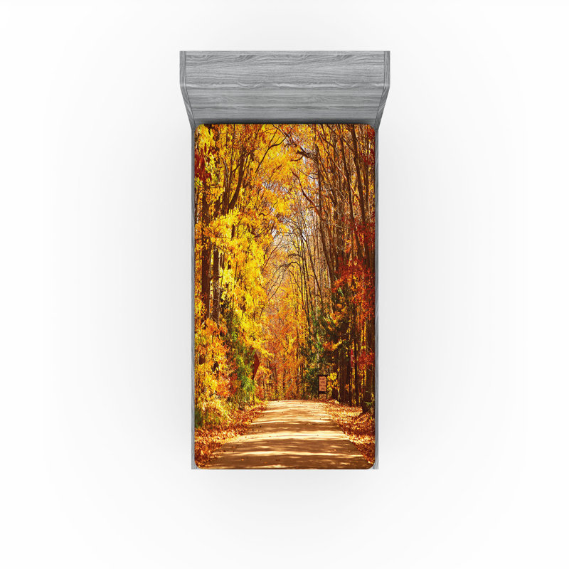 Ambesonne Fall Fitted Sheet 2-Pack Scenic Outdoors Empty Road Twin Redwood Yellow Orange, Twin Fitted Sheet