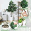 Arrangement