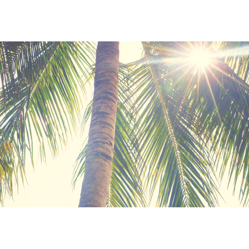 Palm leaves against sunset, 81cm H x 122cm W