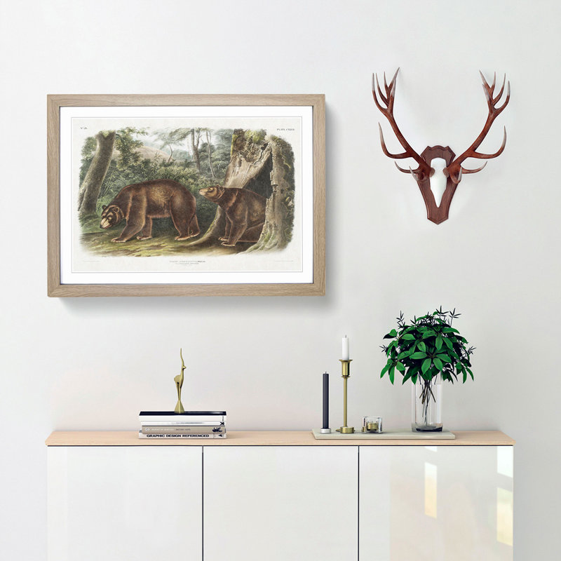 Cinnamon Bears by J.W. Audubon - Picture Frame Painting Print, 36cm H x 48cm W x 2cm D, Oak Framed