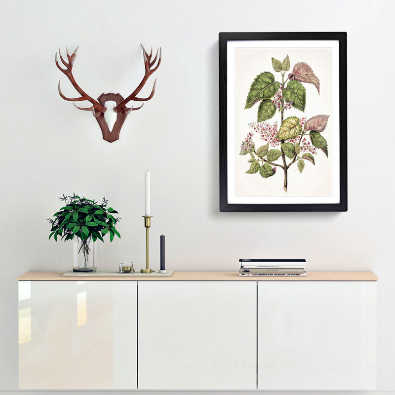 Pink Flowering Flowers by Sarah Featon - Framed Print, 36cm H x 27cm W x 2cm D, Black Framed