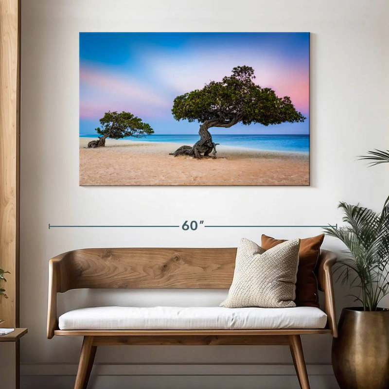 Harnek Divi Divi Trees, H 32 po x l 48 po
