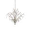 Raux 21 - Light Chandelier