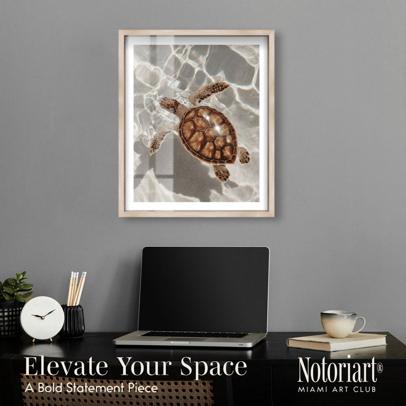 «Sea Hatchling I Shadowbox Print Coastal» par Notoriart, cadre en chêne naturel, 20 x 24, 25"H x 21"W, Natural Oak Frame