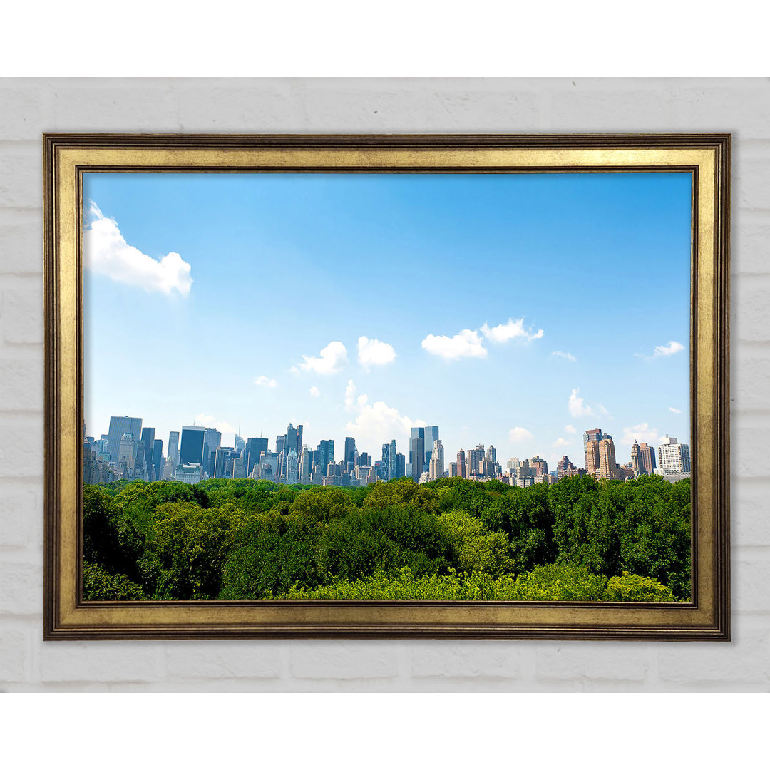 Central Park New York City - Einzelner Bilderrahmen Kunstdrucke auf Holz