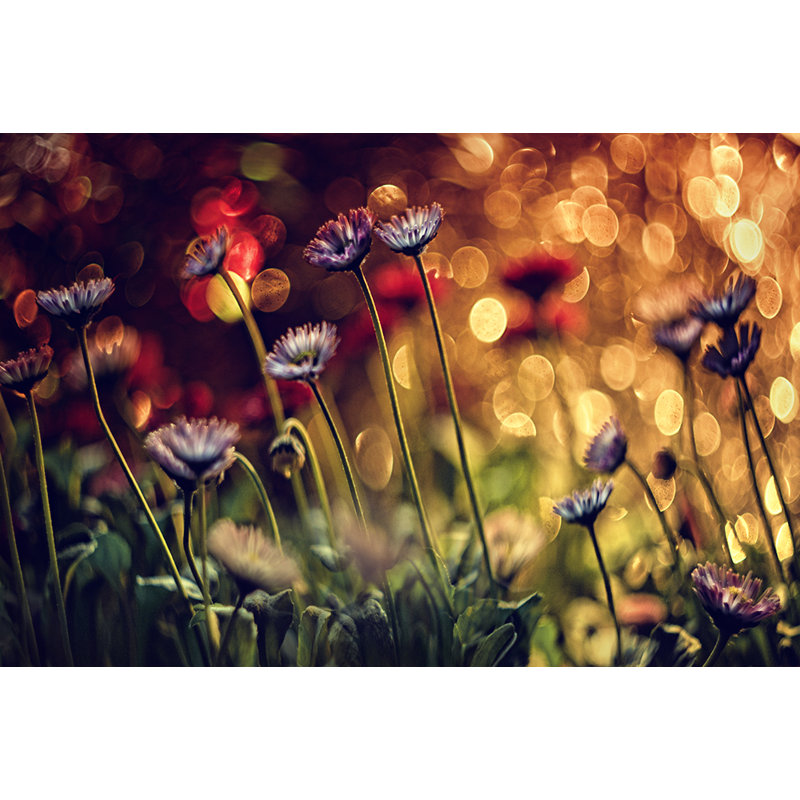 Wrapped Canvas Print, 121.92cm H x 81.28cm W