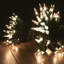 950cm LED Indoor / Outdoor String Lights