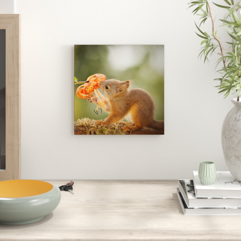 Süßes Eichhörnchen schnüffelt an einer Blume Kunstdruck auf Leinwand