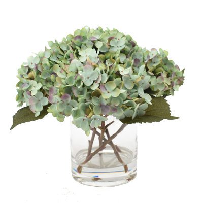 Hortensia