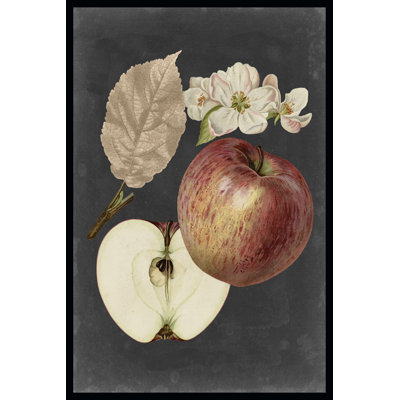 Midnight Harvest II by Vision Studio - Wrapped Canvas Print