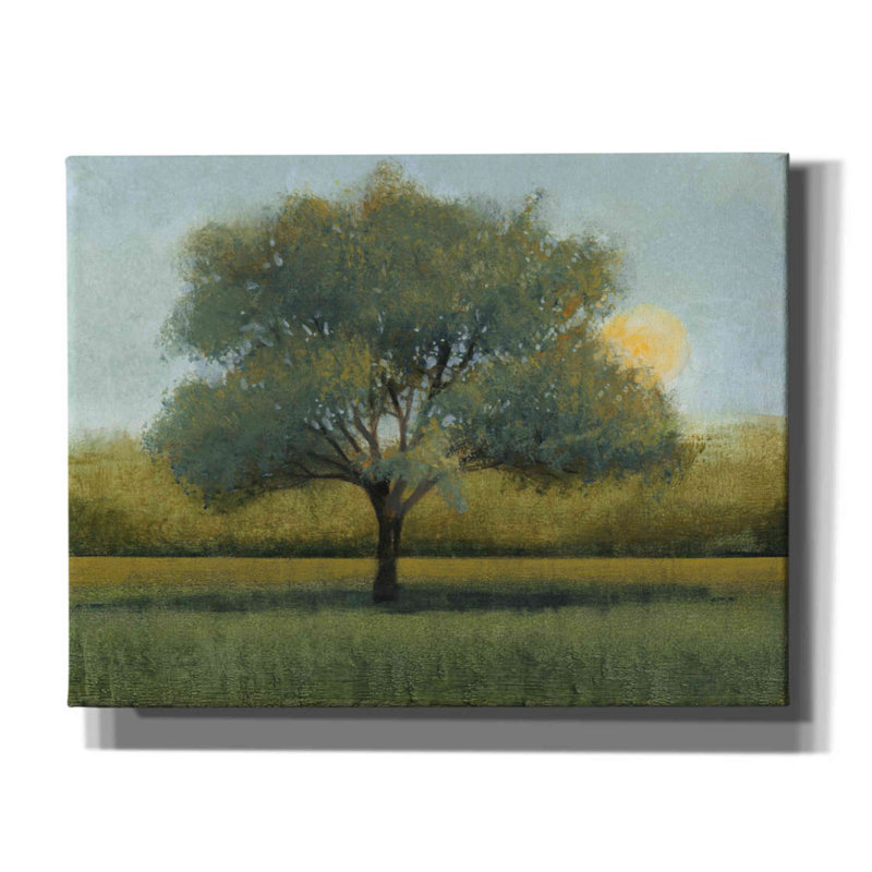 «Sunrise I» par Tim O'toole, art mural sur toile, H 26 po x l 34 po x P 1,5 po