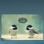 « hello oiseaux 2 » par robin, reproduction d’art sur toile tendue-16277481