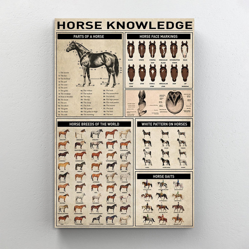 «Horse Horse», impression sur toile tendue, H 14 po x l 11 po x P 1,25 po