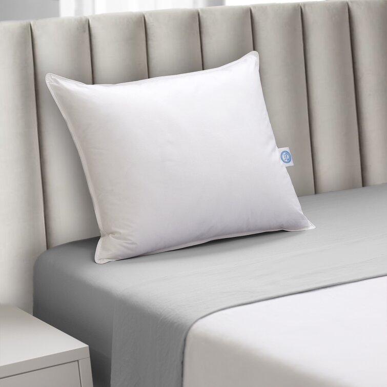 https://assets.wfcdn.com/im/46433698/resize-h755-w755%5Ecompr-r85/1268/126848693/Warrenton+White+Goose+Down+Medium+Pillow.jpg