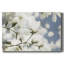 Toile tendue dépliante «Beauty-Gallery»-494896656