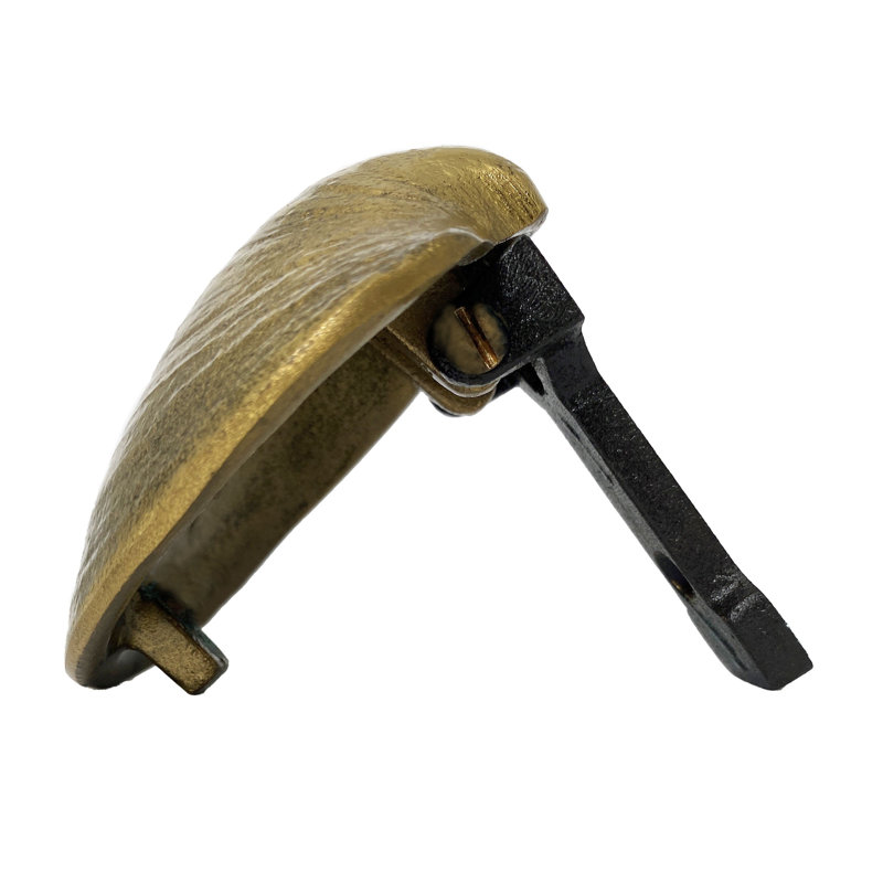 Polished Brass Bumblebee Door Knocker with Black Accents