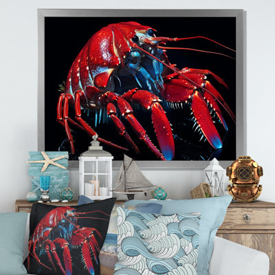 " Modern Red Mantis Shrimp II "