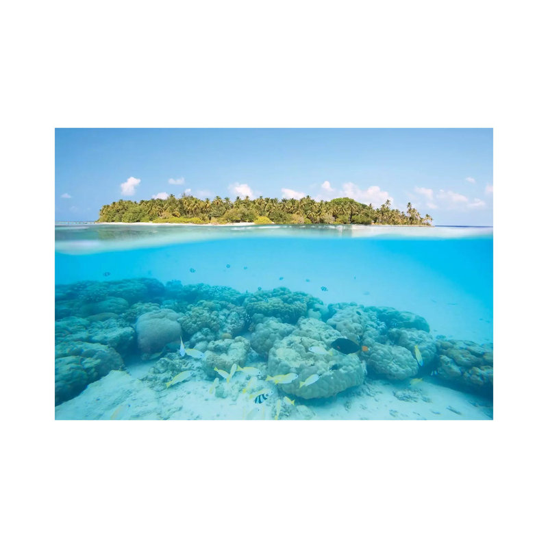 Island And Reef, Maldives by Matteo Colombo - Wrapped Canvas Print, 20.32 cm H x 30.48 cm W