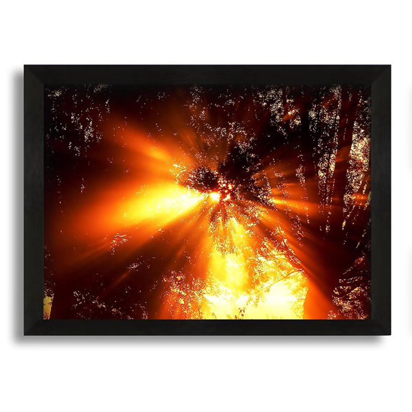 Ebern Designs Sun Blaze Above The Winter Tree - Single Picture Frame ...