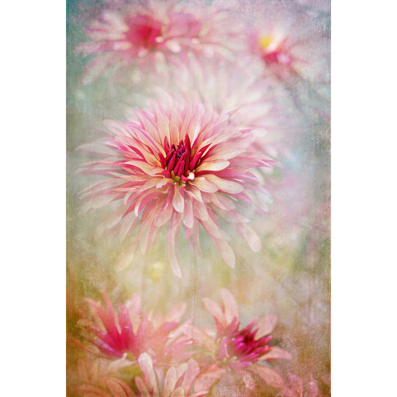 Wrapped Canvas Print, 50.8cm H x 76.2cm W
