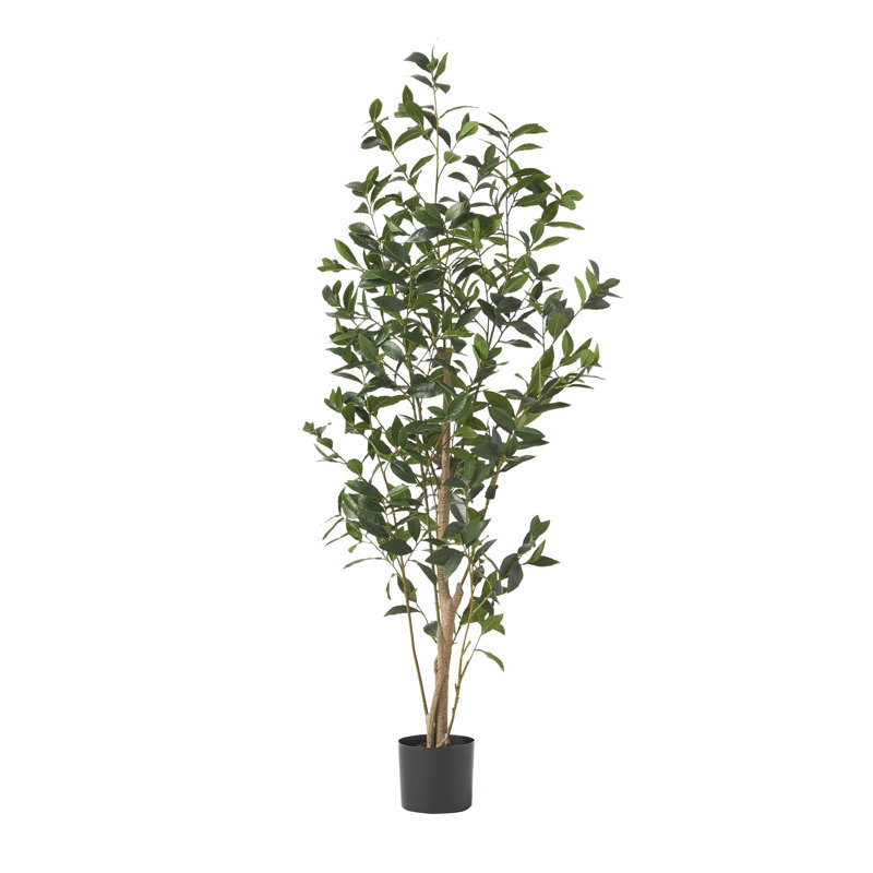 ARBRE DE LAURIER ARTIFIQUE 150CM 150CM