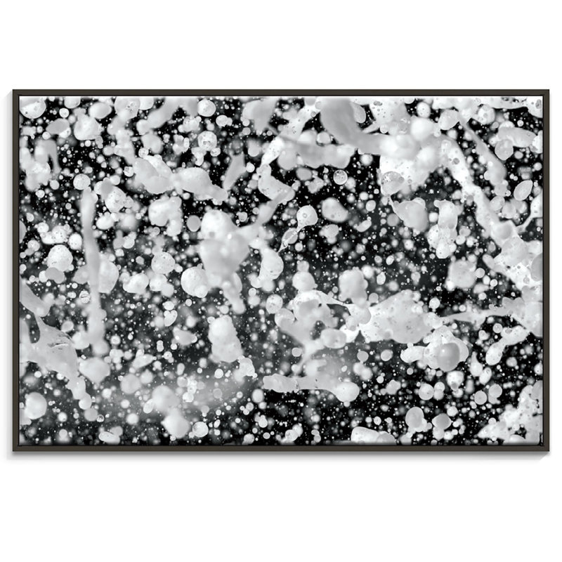 Sticks - Print on Canvas, 102cm H x 152cm W, Black Floater Frame