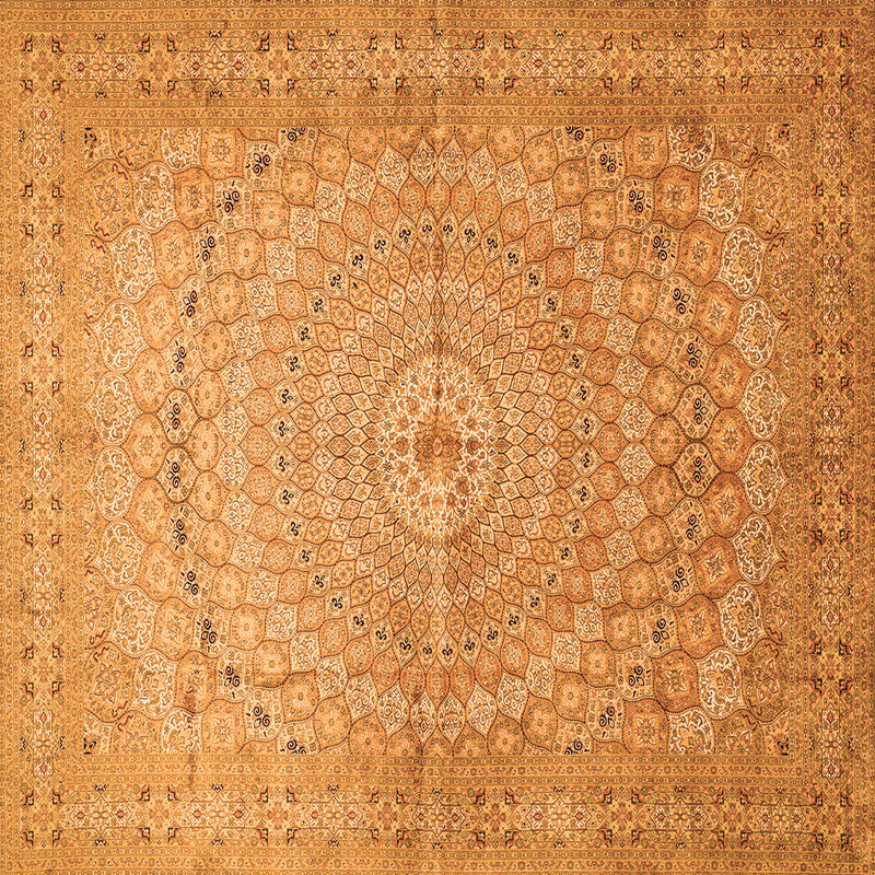 Mikaeyla Performance Oriental Indoor Rug, Square 3'