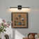 2-Light 24'' Dimmable LED Wall Mounted Picture Light