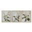 Série d'étude florale Lxxxvi-lot de 3 estampes giclées encadrées-prêt à être accroché-107253711-107253713