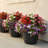 Anjelica Polyresin Large Round Outdoor Planter - 20" - Matte Black - Set of 2-1407845939