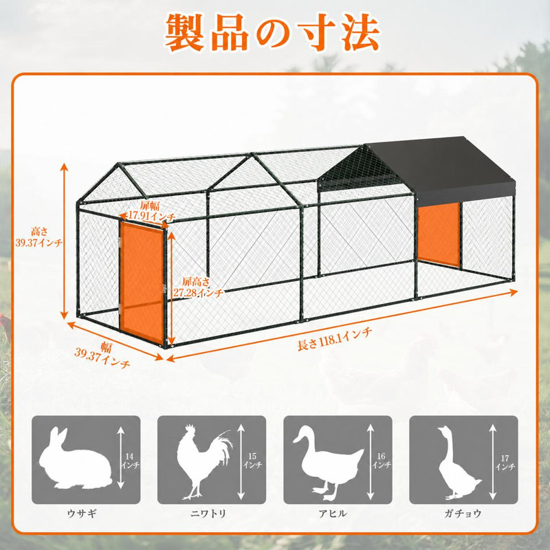Chicken Coop