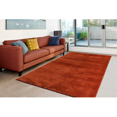 Tapis moelleux à poils longs 3 pi x 5 pi | Petit tapis lavable à la machine pour la décoration de plancher | Cuivre