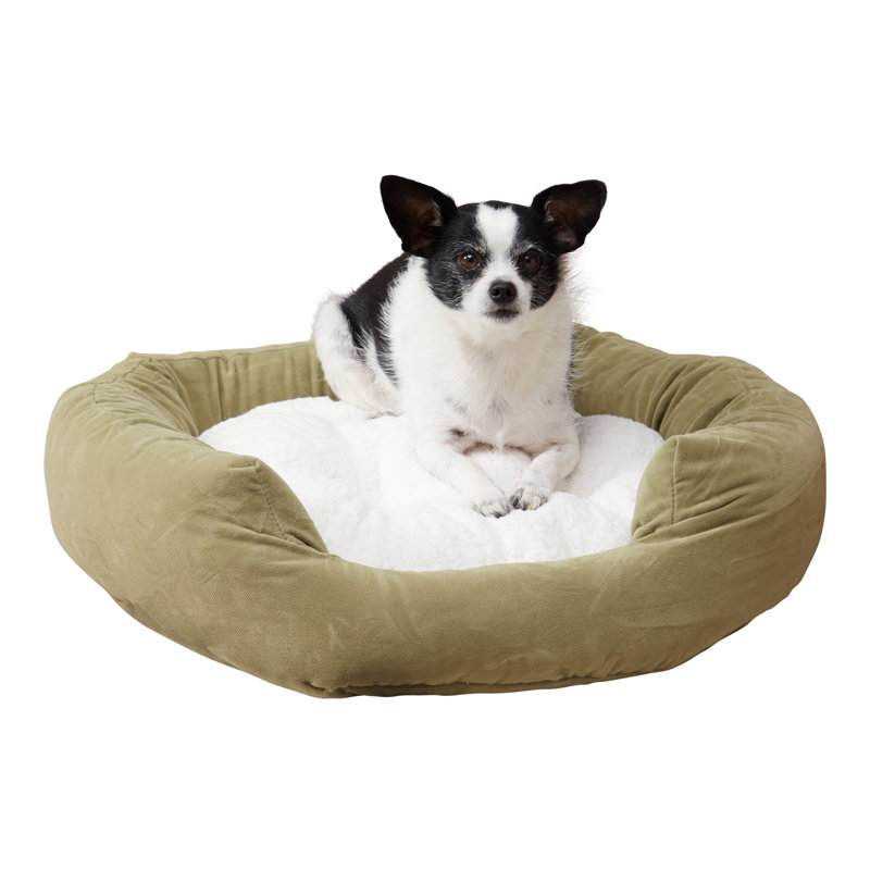Lit pour chien Chamari Donut, Mousse, Petit (l 24 po x P 24 po x H 8 po)