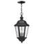 Edgewater 3-Light Outdoor Hanging Lantern-50508206