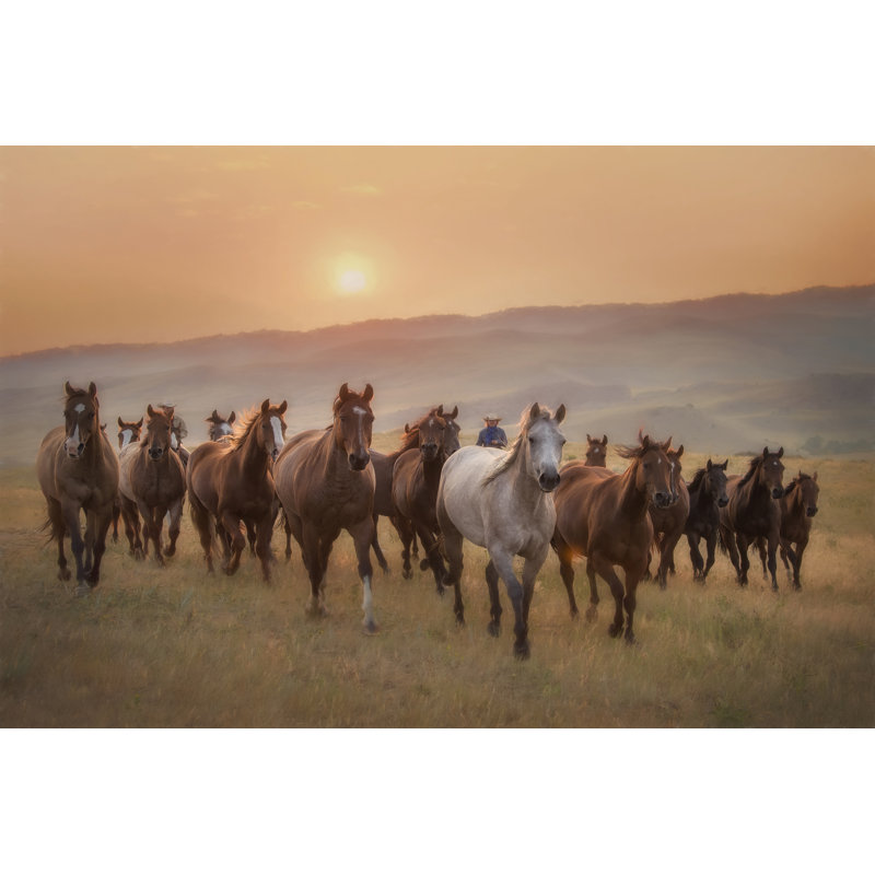 Taryl Morning Jingle by PHBurchett - Wrapped Canvas Photograph, 30 cm H x 46 cm W