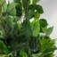 Faux Tree in Metal Planter-101685159-101685163