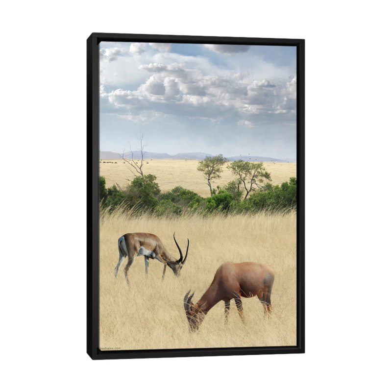 Kenya #2 by Ben Heine - Print on Canvas, 66.04 cm H x 45.72 cm W, Black Framed