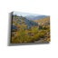 «Desert Ocotillo Landscape» par John Gavrilis, estampe numérique sur toile-839378267