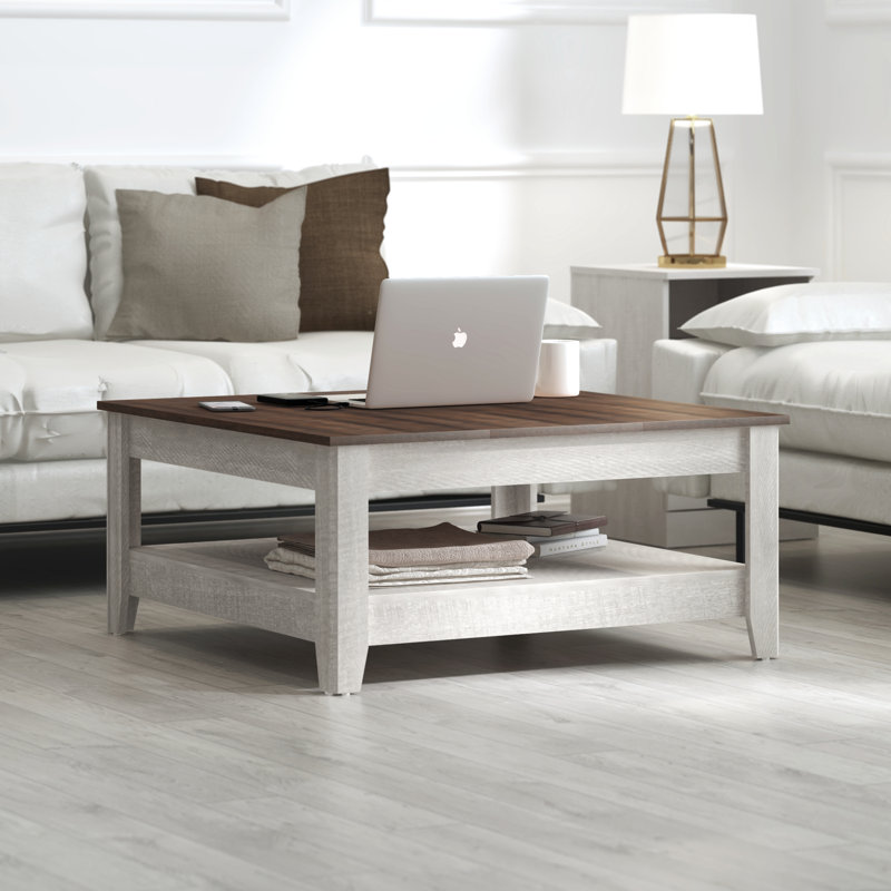 Table basse avec rangement Justine Basilico, Chêne gris cendré / noyer cendré