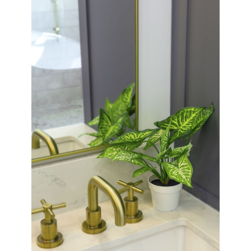 Plante 12 "Caladium