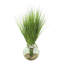 Robblee Faux Grass Plant in Decorative Vase