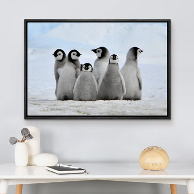 Animaux, petits pingouins sur toile