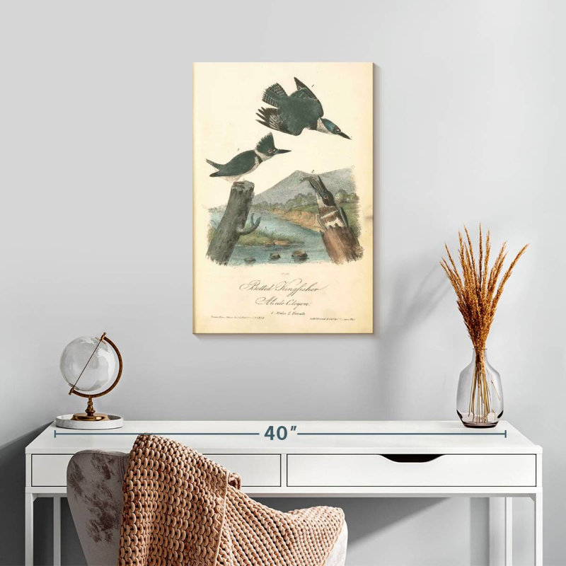 Brampt Belted Kingfisher, 24" H x 16" W