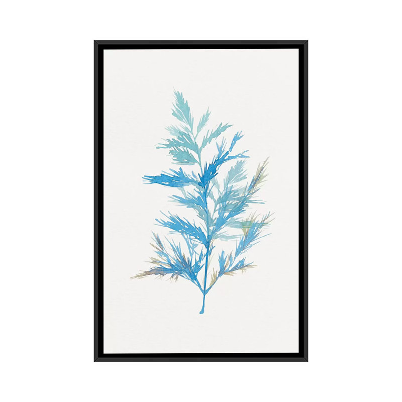 « fantaisiste botanique i », impression sur toile, H 26 po x l 18 po x P 1,5 po, Toile avec cadre noir, Pas de tapis