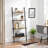 Ciotti Ladder Bookcase-528016280