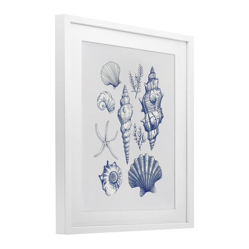 Collection Soft Nautical, reproduction encadrée sous verre, design par 1x, H 21 po x l 17 po, Blanc