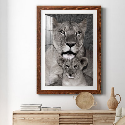 Lionne and Cub - Photographie avec cadre photo