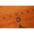 Orange Wool Gabbeh Indian Area Rug 8x10
